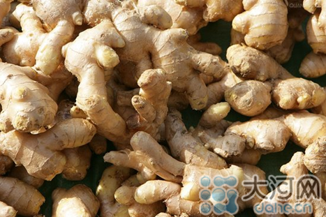 生姜價(jià)格大幅上漲 “姜你軍”再度來襲 生姜價(jià)格大幅上漲 “姜你軍”再度來襲