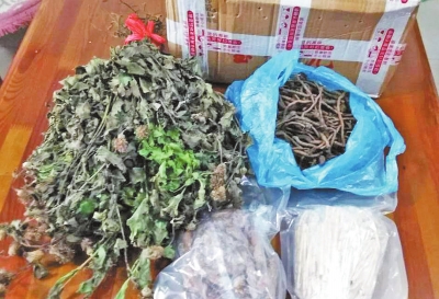 焦作女子網(wǎng)上買中藥上當(dāng) 專家稱真假難辨 焦作女子網(wǎng)上買中藥上當(dāng) 專家稱真假難辨