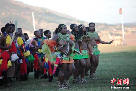斯威士蘭蘆葦節(jié)開選秀女 斯威士蘭蘆葦節(jié)開選秀女