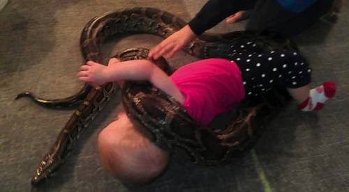 男子愛(ài)蛇如命 巨蟒與女兒們 男子愛(ài)蛇如命 巨蟒與女兒們