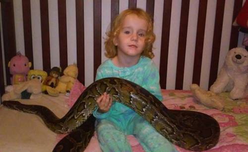 男子愛(ài)蛇如命 巨蟒與女兒們 男子愛(ài)蛇如命 巨蟒與女兒們