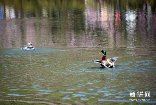 莫負(fù)人間四月天 莫負(fù)人間四月天