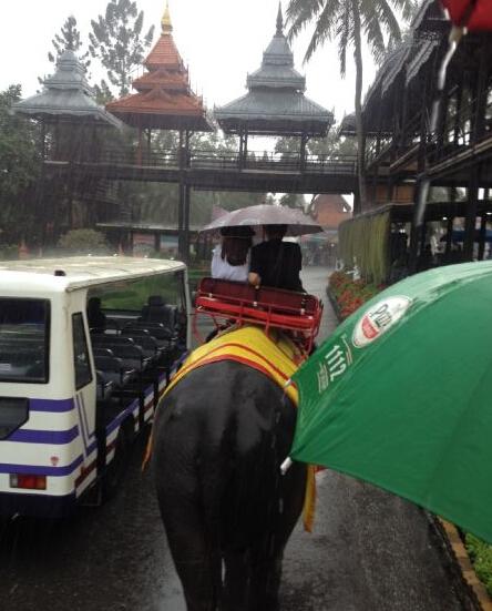 姚笛被曝已有新歡與壯男同游泰國親密騎大象 姚笛被曝已有新歡與壯男同游泰國親密騎大象