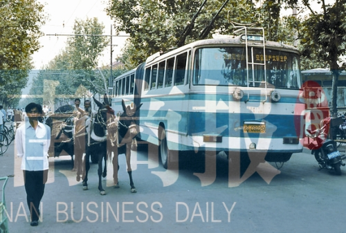 當(dāng)年的伏牛路，驢車和公交車并行