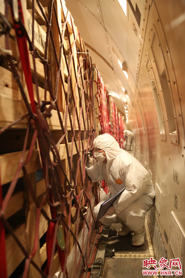 千只澳大利亞種羊“打飛的”落戶河南 創(chuàng)國(guó)內(nèi)多個(gè)第一 千只澳大利亞種羊“打飛的”落戶河南 創(chuàng)國(guó)內(nèi)多個(gè)第一