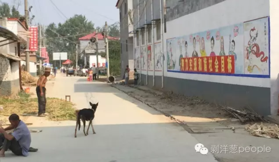 孫莊村一角。新京報(bào)記者安鐘汝 攝