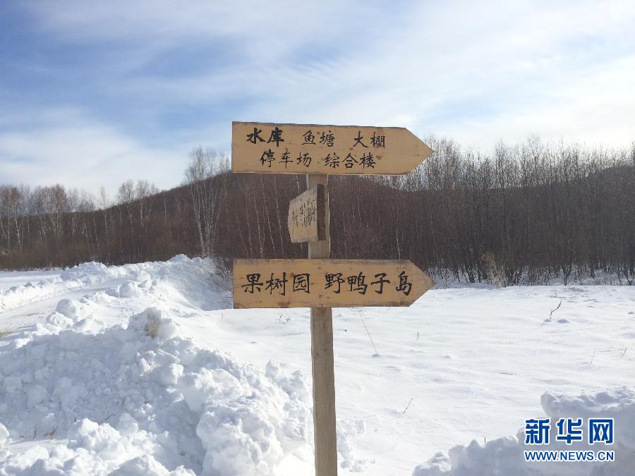 穗豐園里的標識牌（2013年12月8日攝）。新華社記者王子辰攝