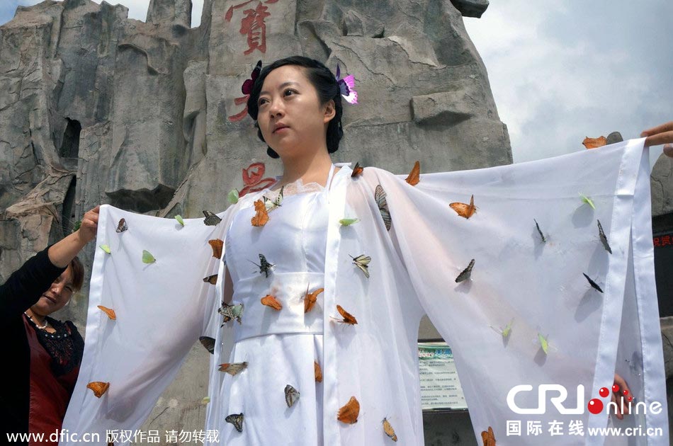 “蝴蝶仙子”身穿上百只剛剛扎死的蝴蝶。圖片來源：老祝/東方IC