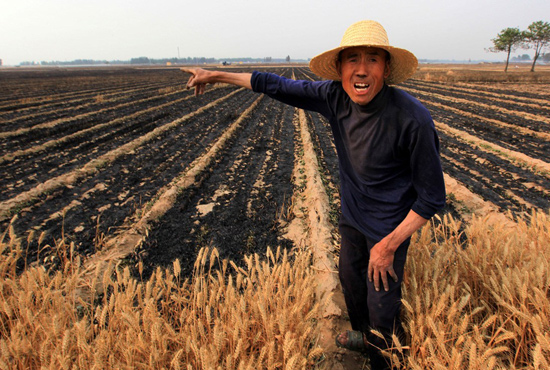 河南省滑縣、內(nèi)黃縣麥田著火，麥壟套種的花生、玉米苗也被烤焦，群眾損失慘重