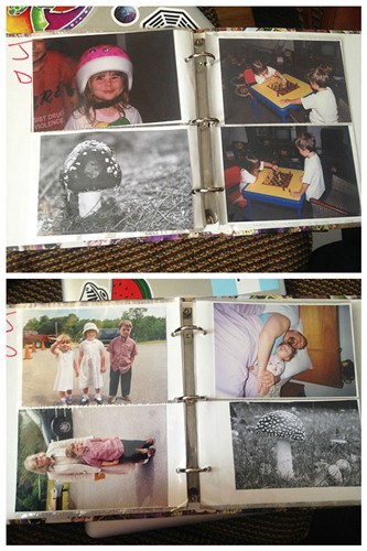 圖五：這位老爹最神的是，把一棵蘑菇的照片放進(jìn)了家庭相冊里，真正地作為家人來對待。