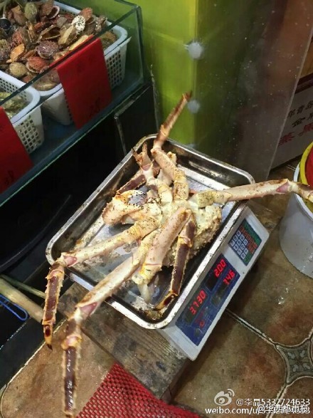 網(wǎng)友提供圖片。