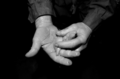 圖為科考人員發(fā)現(xiàn)的洞穴動物（3月2日攝）。