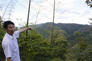 村民吳學(xué)田告訴記者，對面兩座山就是潘建友承包的部分山場 見習(xí)記者 邱一文 攝