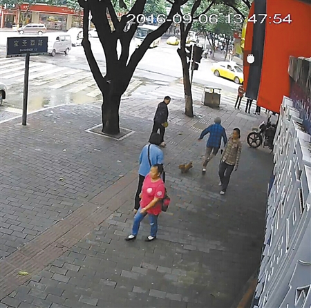 寵物狗絆倒八旬老太 沒有“逃離”現(xiàn)場坐等民警來 寵物狗絆倒八旬老太 沒有“逃離”現(xiàn)場坐等民警來