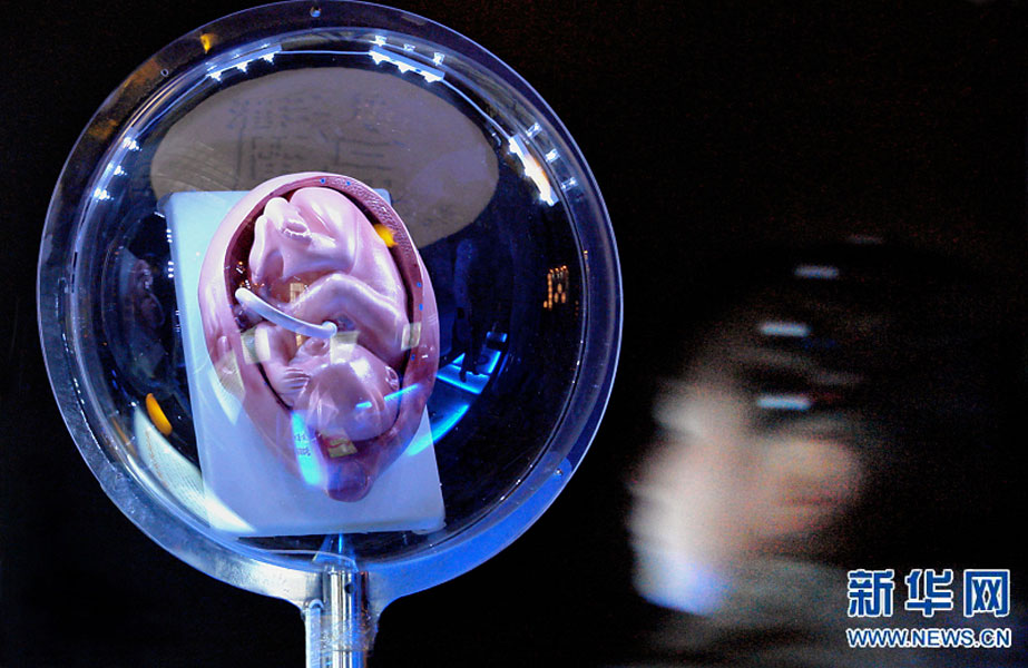 一名小學(xué)生在鄭州科技館內(nèi)參觀介紹遺傳、生育等知識(shí)的“奇幻生命之旅”展覽（2007年2月18日攝）。