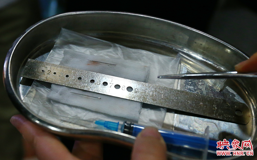 大龍顱內(nèi)取出的鋼針（上）和小龍顱內(nèi)的一樣（下），均為2.5厘米