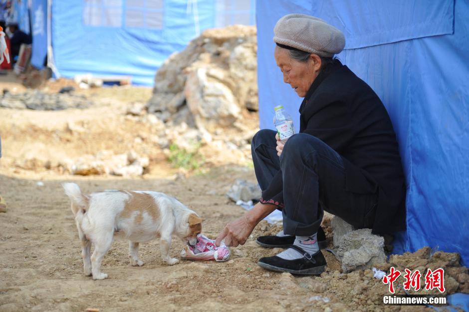 8月6日，一名老人將剛領(lǐng)到的礦泉水分給小狗。