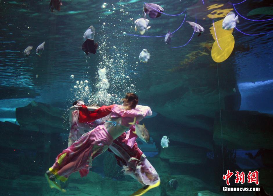 9月7日，在中秋節(jié)到來前一天，山東泉城海洋極地世界為游客帶來“嫦娥水中奔月”表演。