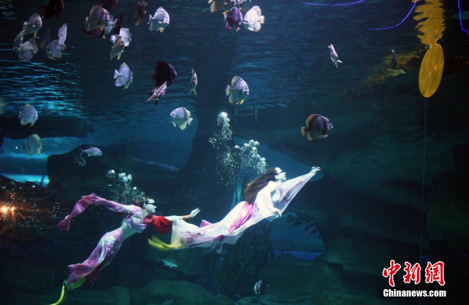 9月7日，在中秋節(jié)到來前一天，山東泉城海洋極地世界為游客帶來“嫦娥水中奔月”表演。