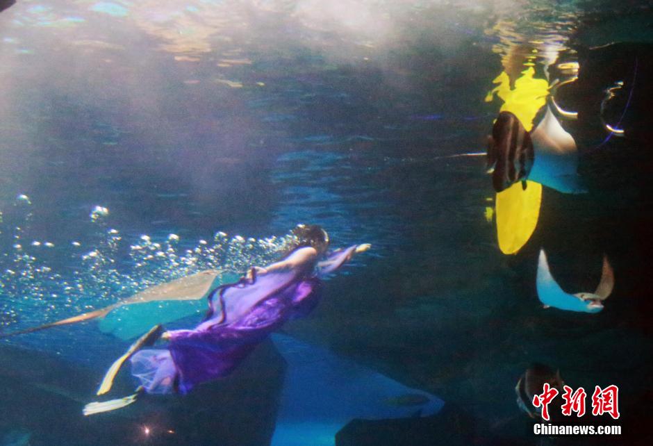 9月7日，在中秋節(jié)到來前一天，山東泉城海洋極地世界為游客帶來“嫦娥水中奔月”表演。