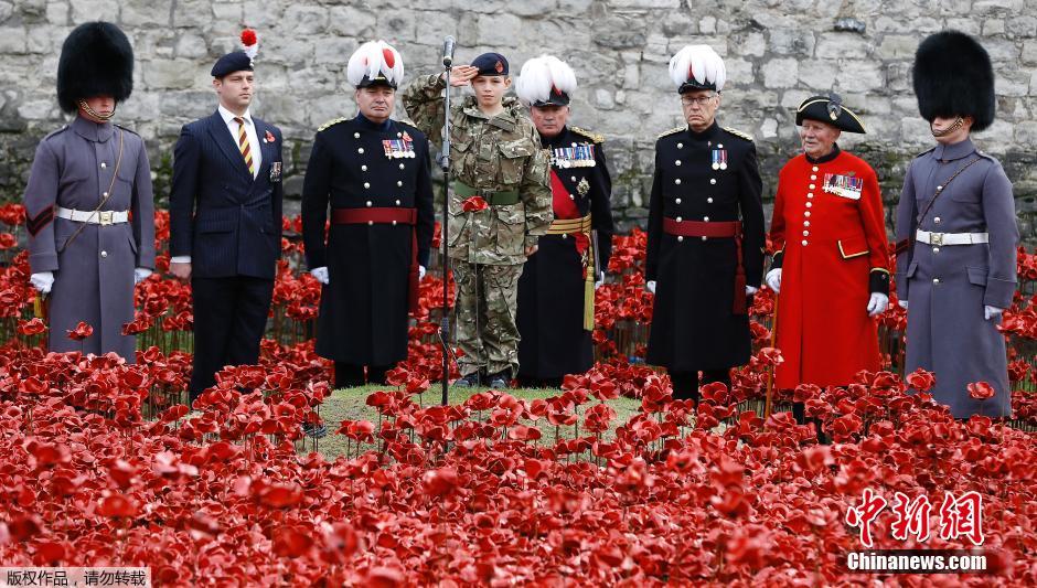 當(dāng)?shù)貢r(shí)間2014年11月10日，英國(guó)倫敦，倫敦塔周邊“種植”了888246朵陶瓷材質(zhì)的罌粟花，以此紀(jì)