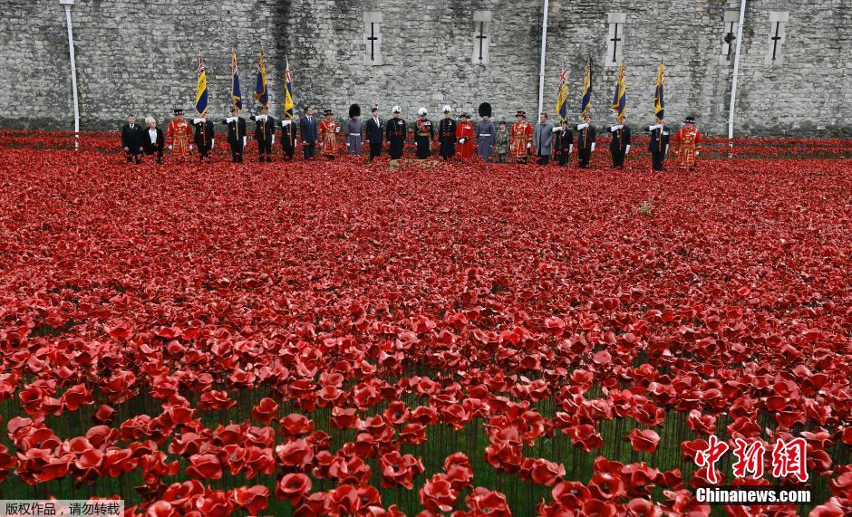 當(dāng)?shù)貢r(shí)間2014年11月10日，英國(guó)倫敦，倫敦塔周邊“種植”了888246朵陶瓷材質(zhì)的罌粟花，以此紀(jì)