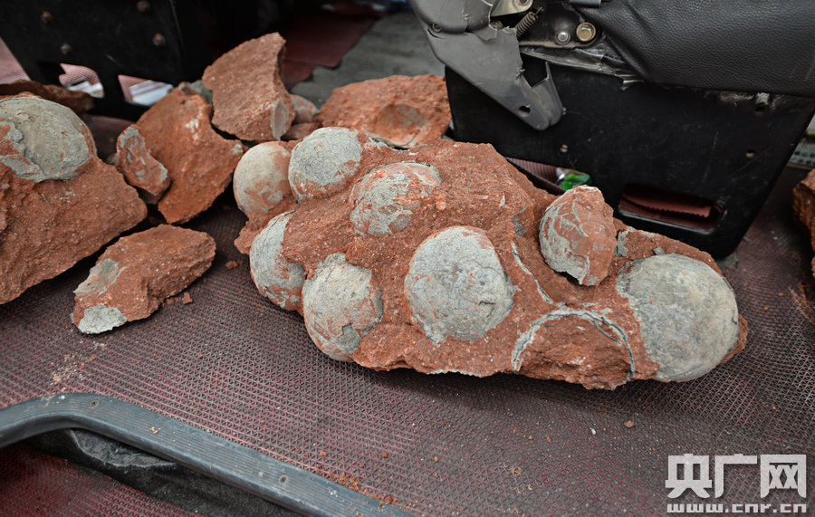 其中完整的19枚，都是直徑約13厘米的“大個子”。