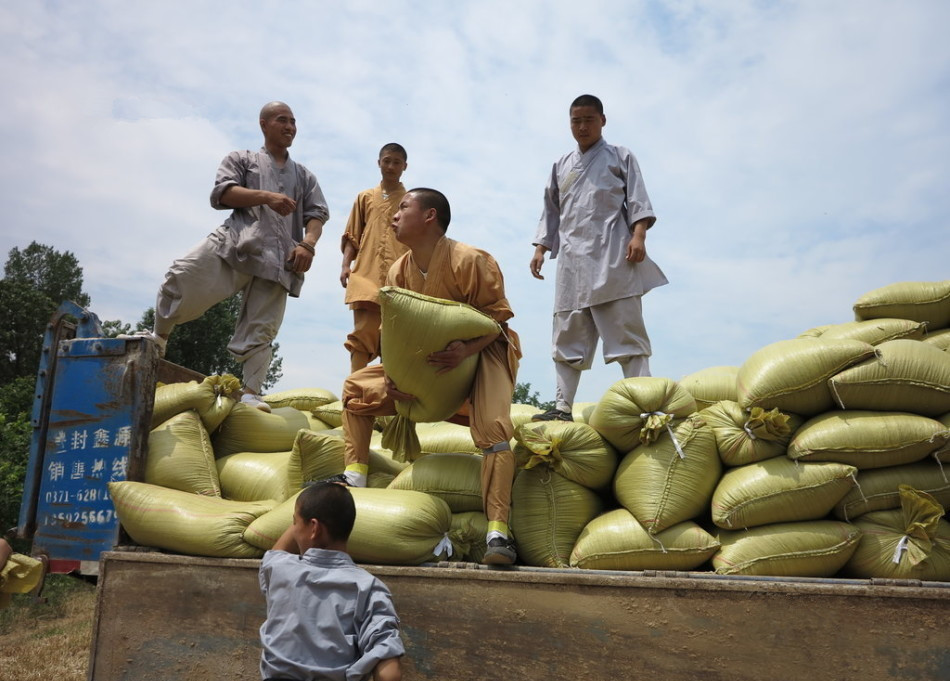武僧將打包后的糧食集中至運(yùn)輸車輛上。