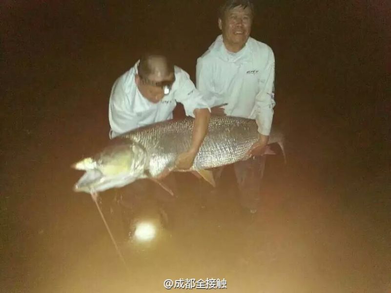 圖為大魚需要兩個(gè)人抱起。