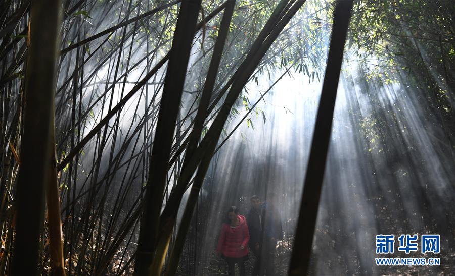 (社會)(12)西成高鐵連起川陜“后花園” (社會)(12)西成高鐵連起川陜“后花園”