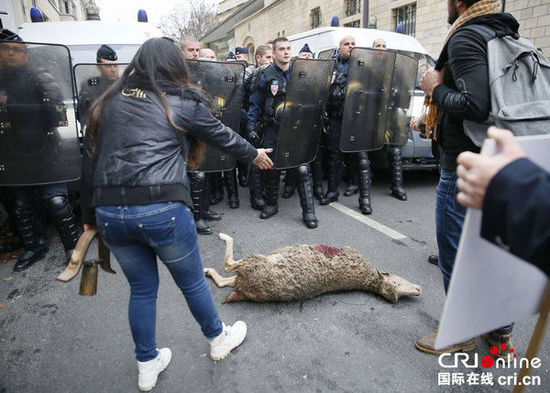 　　當(dāng)?shù)貢r(shí)間2014年11月27日，法國(guó)巴黎，法國(guó)農(nóng)民帶綿羊在埃菲爾鐵塔附近抗議，要求環(huán)保部門采取有效措施解決狼群襲擊羊群?jiǎn)栴}?！D片來(lái)源：TRICK KOVARIK/CFP