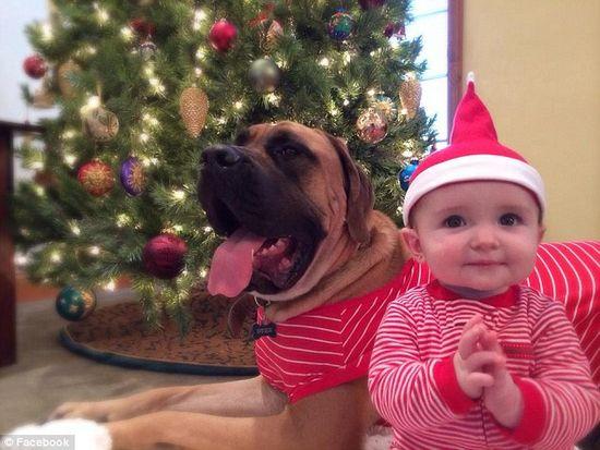 圖為美國2歲大的寵物犬與主人9個月大的女嬰。圖片來源：臉譜網(wǎng)站（Facebook）。