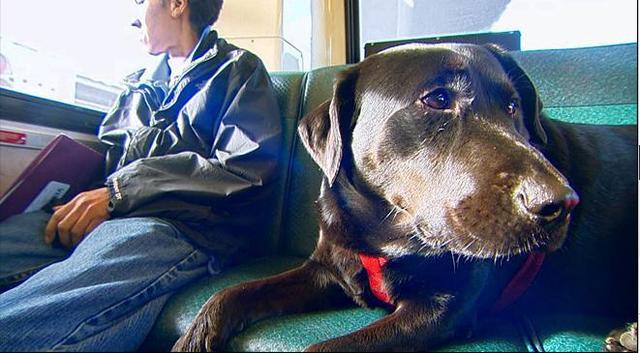 伊柯麗斯(Eclipse)搭乘公車(chē)。