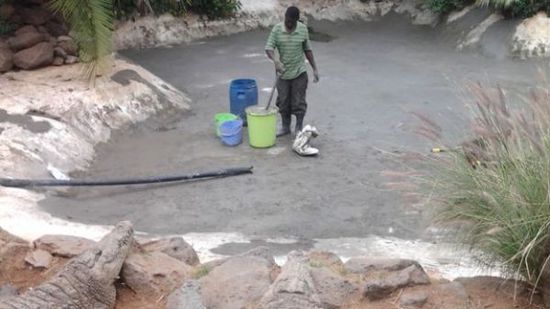 穆克的養(yǎng)殖場(chǎng)，鱷視眈眈下的工作人員。