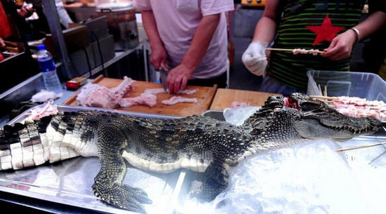 沈陽現(xiàn)“烤鱷魚肉”20元一串現(xiàn)烤現(xiàn)賣(圖) 沈陽現(xiàn)“烤鱷魚肉”20元一串現(xiàn)烤現(xiàn)賣(圖)