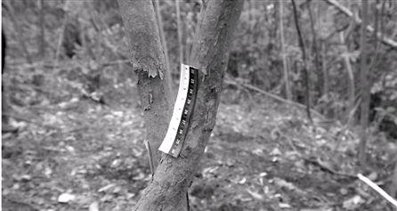 破產(chǎn)老板為騙180萬保險(xiǎn)花3萬雇兇殺死自己 破產(chǎn)老板為騙180萬保險(xiǎn)花3萬雇兇殺死自己