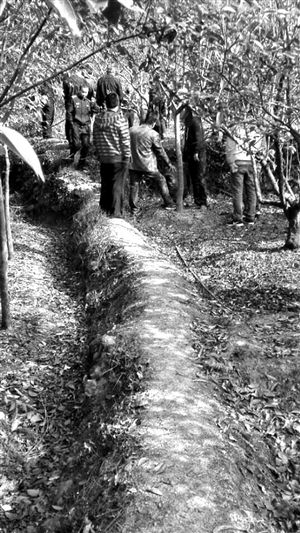 浙江女孩遭遇出租車司機(jī)劫財(cái) 大聲呼救被殺(圖) 浙江女孩遭遇出租車司機(jī)劫財(cái) 大聲呼救被殺(圖)