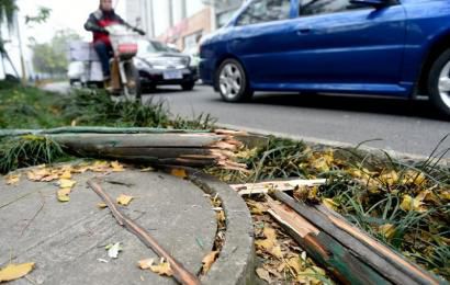 事發(fā)現(xiàn)場，嫌疑車輛撞壞的木樁。