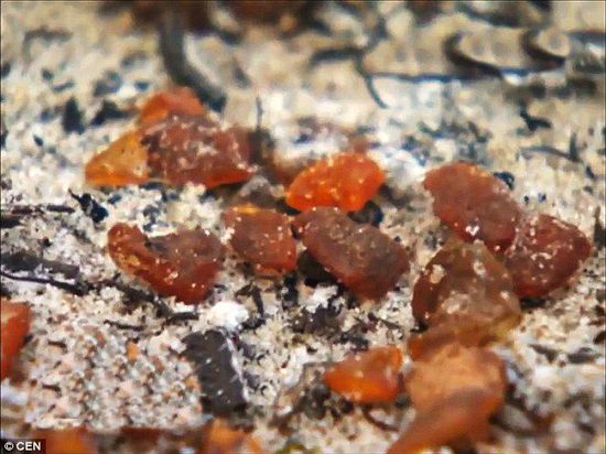 波羅的海的一場暴風雨將琥珀卷到了岸上，這里包攬了全球90%的琥珀產(chǎn)量。