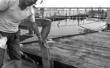 鼻孔里凝著血痂、全身多處擦傷的周先生仍有些驚魂未定。