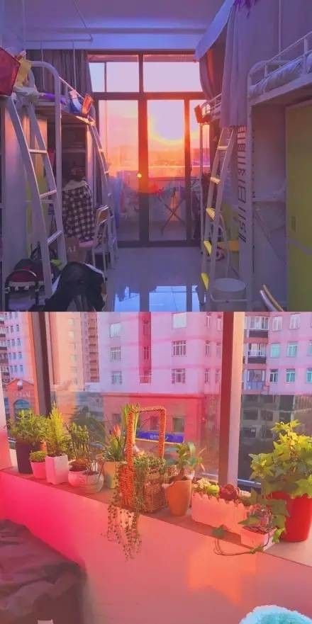 這個(gè)學(xué)校的男生宿舍火了！女同學(xué)都喊著要嫁