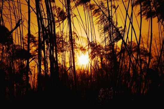 夕陽(yáng)無(wú)限好 西安不可錯(cuò)過的夕照勝景地