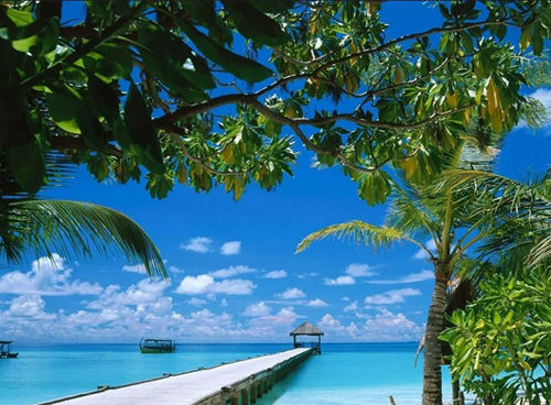 國內(nèi)適合冬游的目的地 陽光雪景各取所需 國內(nèi)適合冬游的目的地 陽光雪景各取所需