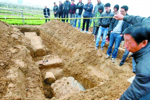 碑帽、赑屃、碑座、碑身依次排開