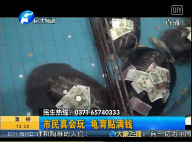 市民真會(huì)玩 龜背貼滿錢(qián)