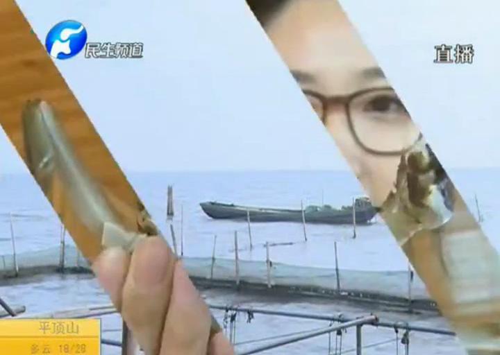 陽澄湖大閘蟹？假的！