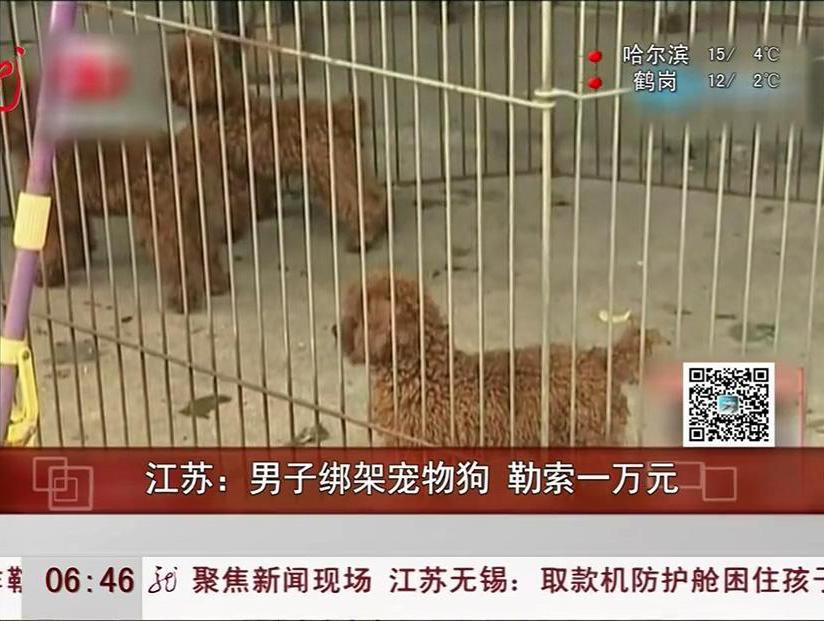 男子綁架寵物狗 勒索一萬(wàn)元