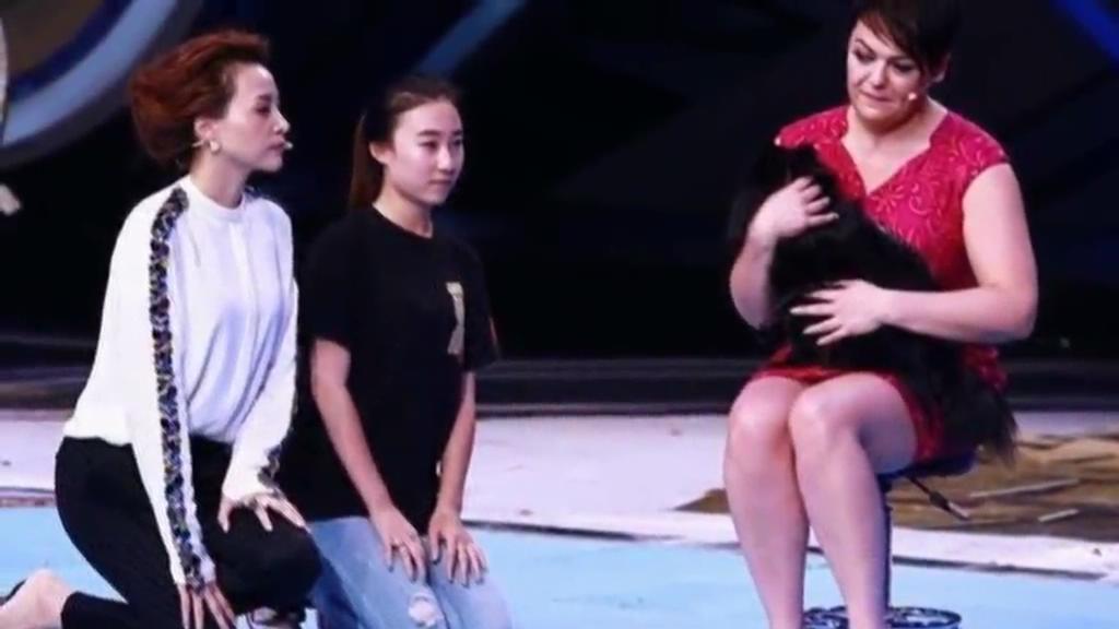 又當托？ 董卿節(jié)目現(xiàn)場當眾對狗下跪稱被催眠