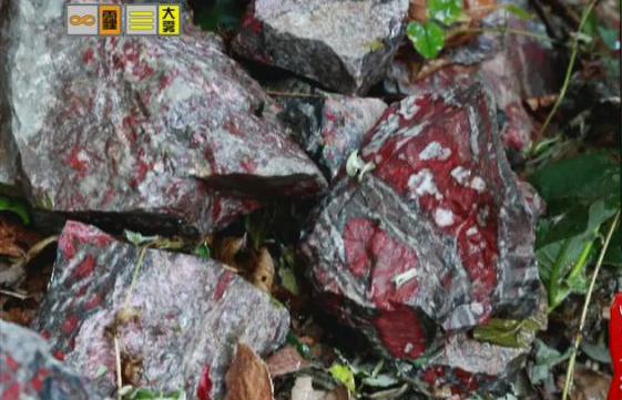 驚！神農(nóng)架無人區(qū)現(xiàn)神秘玉石