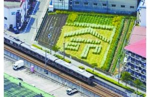 日本2005年列車事故現(xiàn)場(chǎng)附近的一塊農(nóng)田里勾勒出一個(gè)“命”字，以警世人。